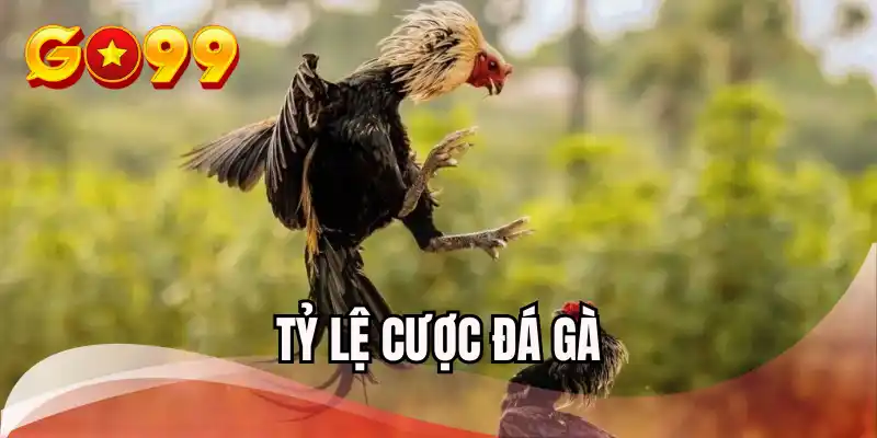 ty-le-cuoc-da-ga